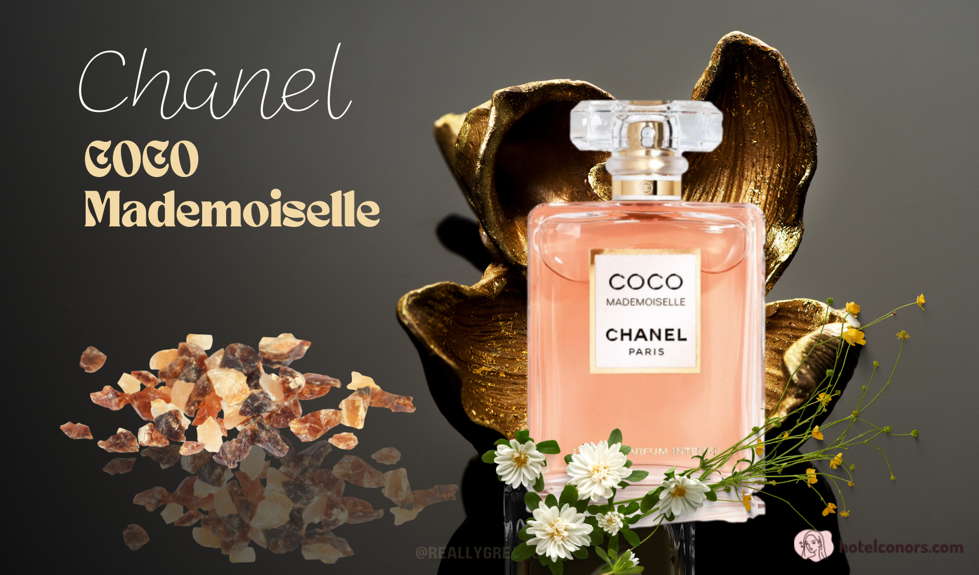 รีวิว Chanel COCO Mademoiselle น้ำหอมกลิ่นผู้ดี
